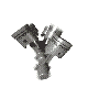 Avatar du membre