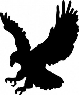 blackeagle1.jpg