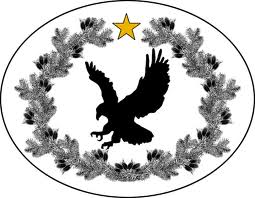 blackeagle2.jpg