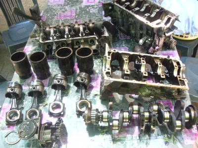 IMGP8650.JPG